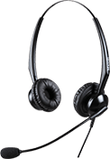 Double Ear Headset